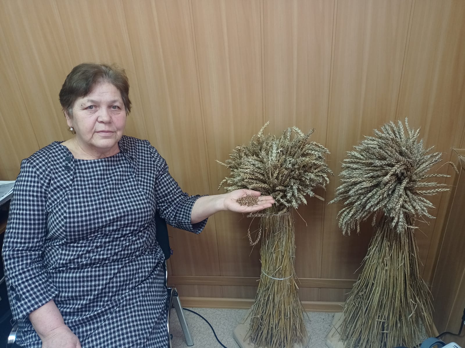 Эксклюзив с пользой: в Татарстане будут печь хлеб из фиолетовой пшеницы