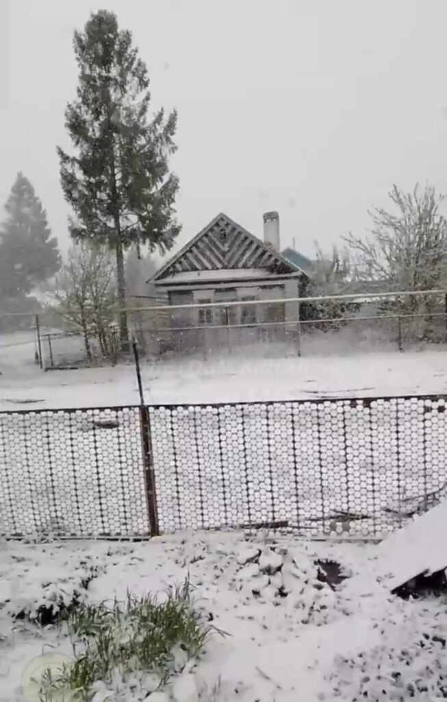 В Татарстане в мае выпал снег