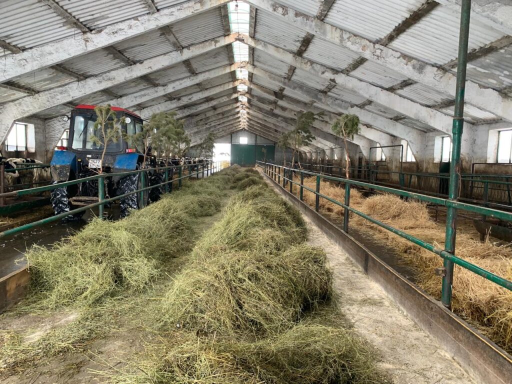 Лидерство с нюансами: как Татарстан сможет остаться самым «молочным» регионом страны