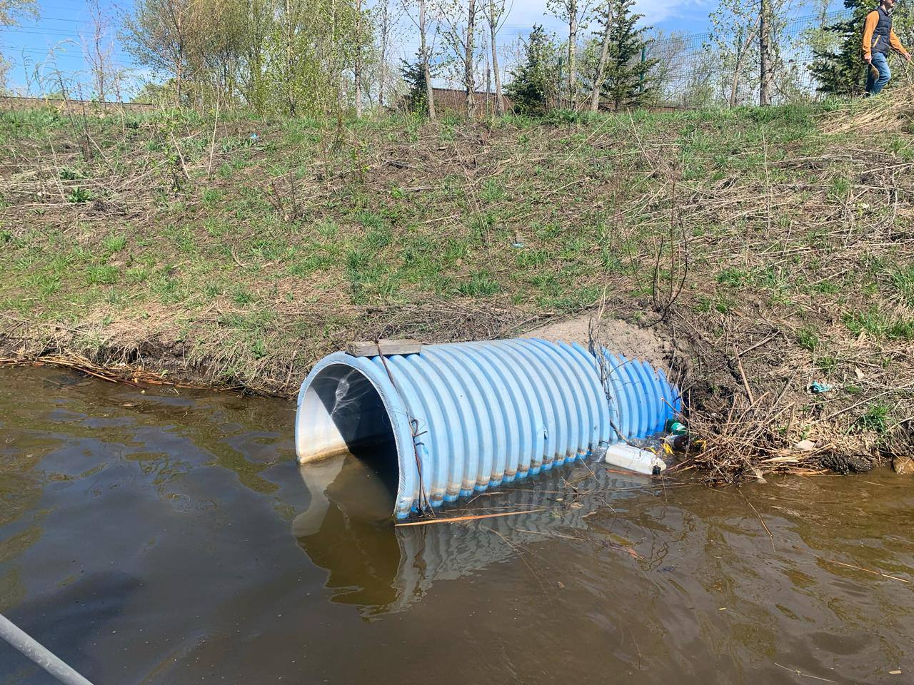 В озеро Кабан сбрасывали помои из Казанского зоопарка