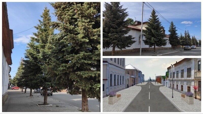 «Будет каменный мешок»: жители Елабуги защищают от вырубки деревья в центре города