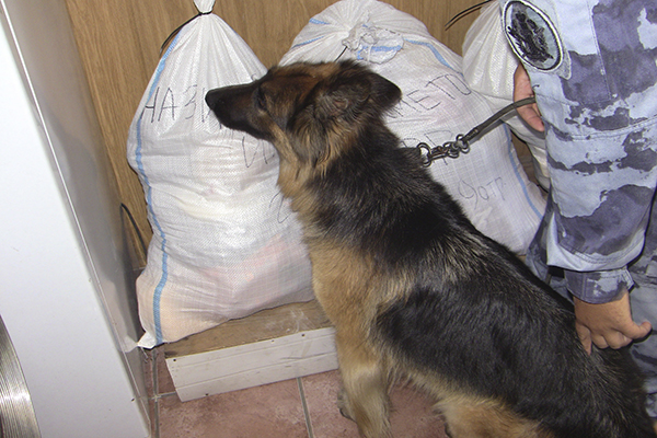 В казанскую колонию мать пыталась передать сыну наркотики в конфетах