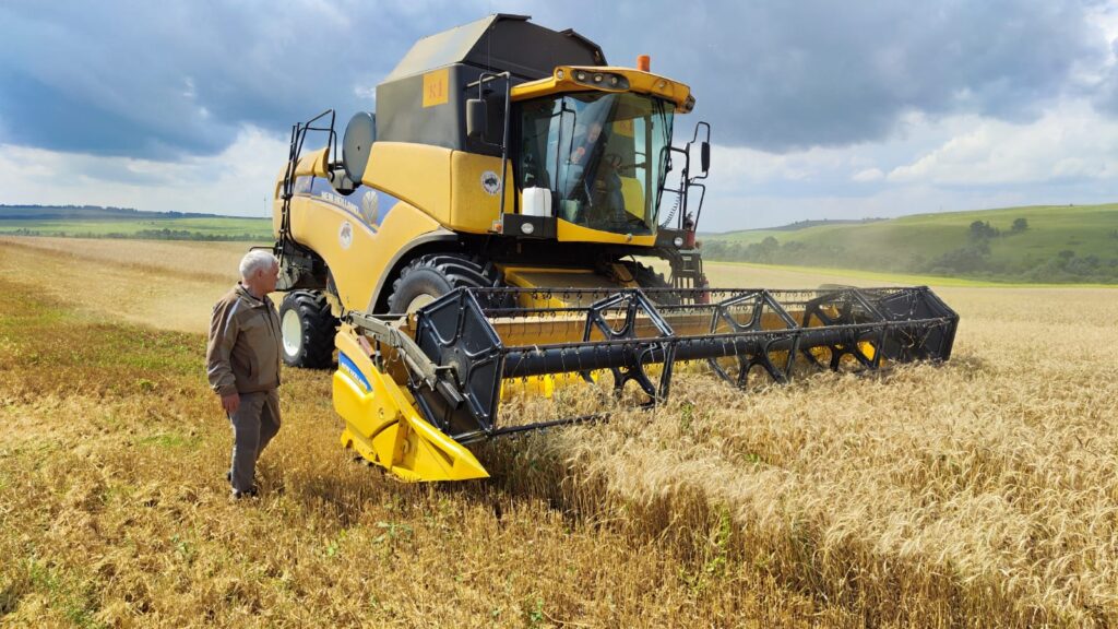 Влажная уборка: погода подкинула проблем хлеборобам в Татарстане