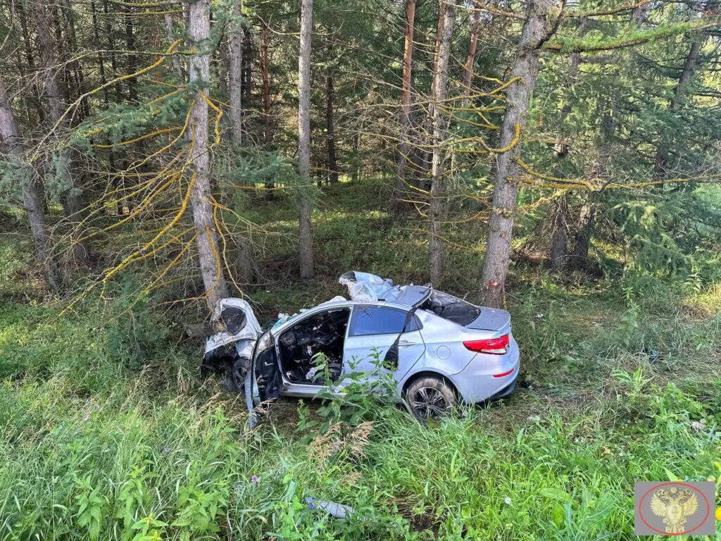 Три человека погибли в результате лобового столкновения фуры и легкового автомобиля в РТ