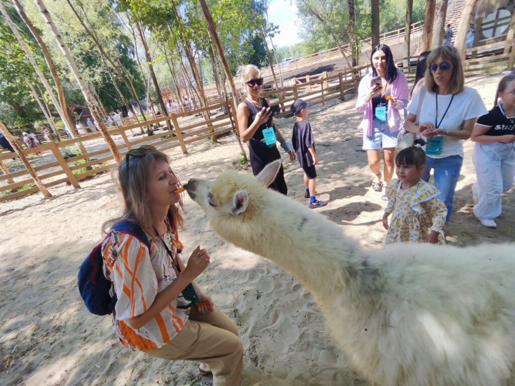 Поцелуют за морковку: в Татарстане появился парк альпак