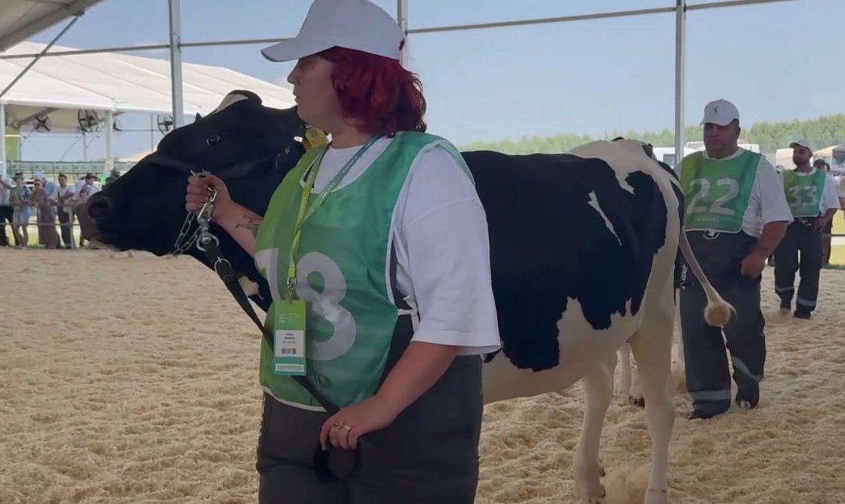 Минниханов показал видео конкурса красоты среди коров на выставке 