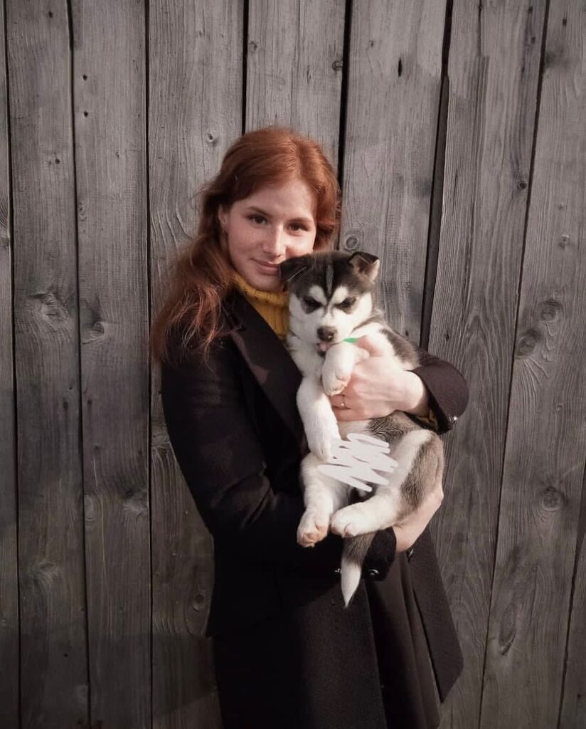 Люкс для Мурзика: сколько просят за услуги зоогостиницы и зооняни в Казани