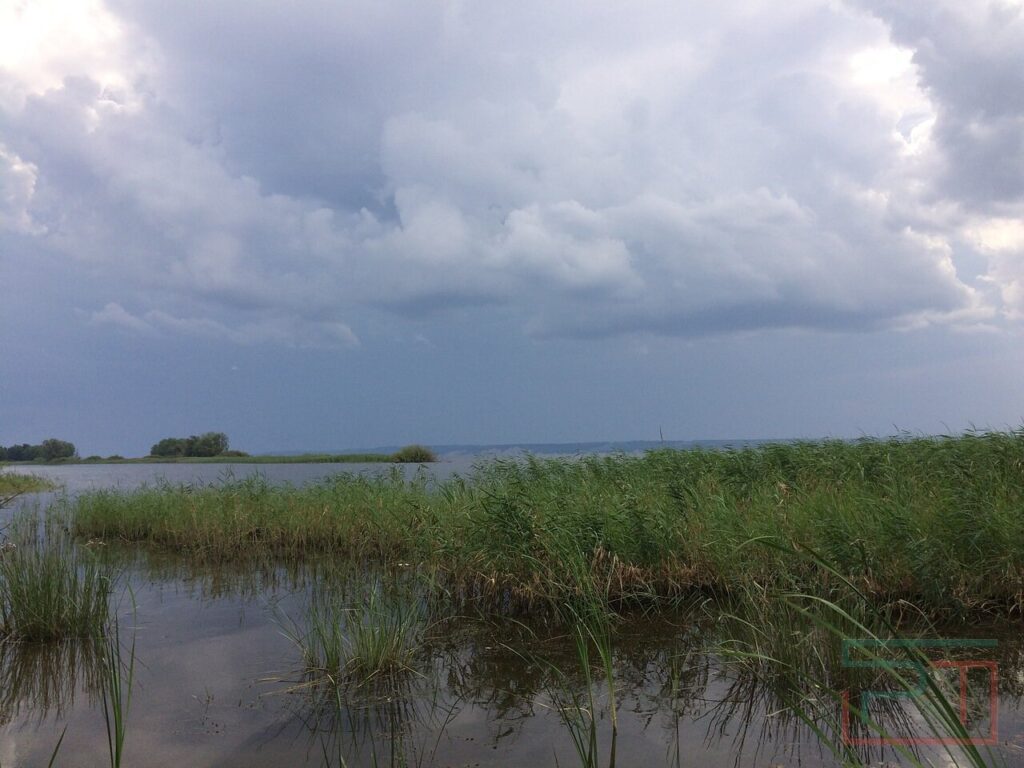 Тепло, еще теплее: Татарстан в связи с изменением климата осваивают пришельцы