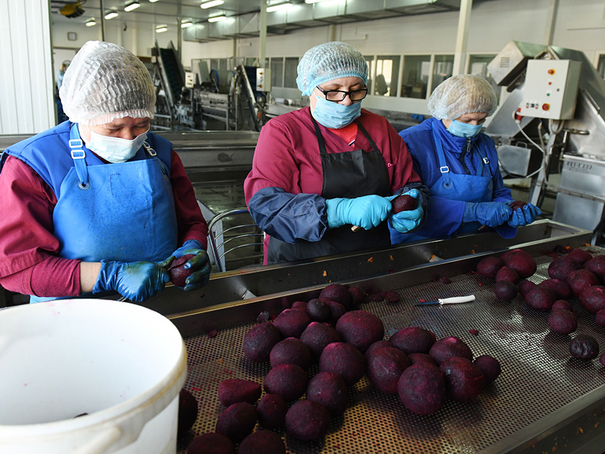 «Чем благополучнее город, тем больше отходов»: в Казани закомпостируют остатки школьных обедов