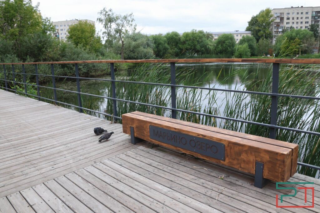«Благоустроили и забыли»: озеро Марьино в Казани гибнет без кислорода