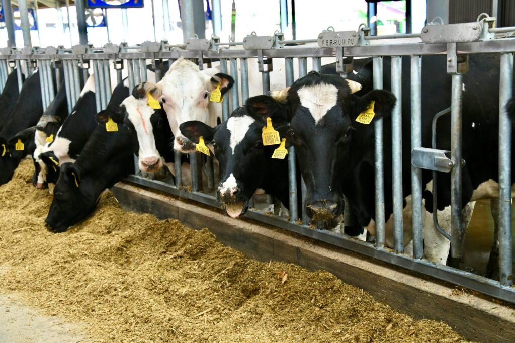 Минниханов: Будет разработана программа модернизации сетей Бугульминского района