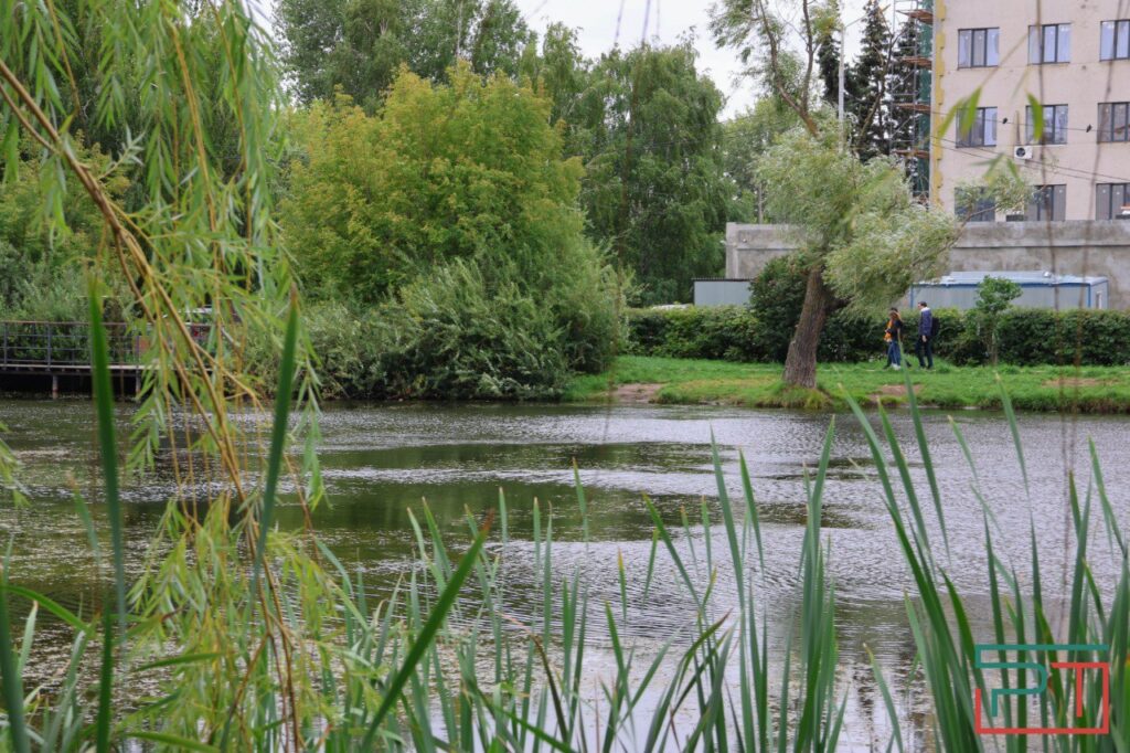 «Благоустроили и забыли»: озеро Марьино в Казани гибнет без кислорода