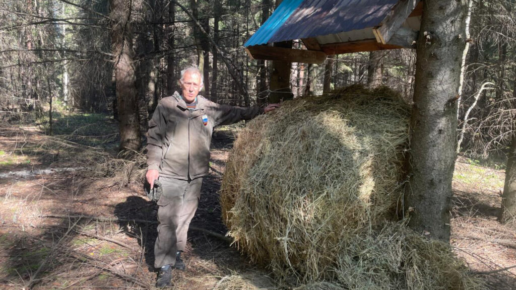 Кормушки для диких животных обустраиваются к зиме в Татарстане