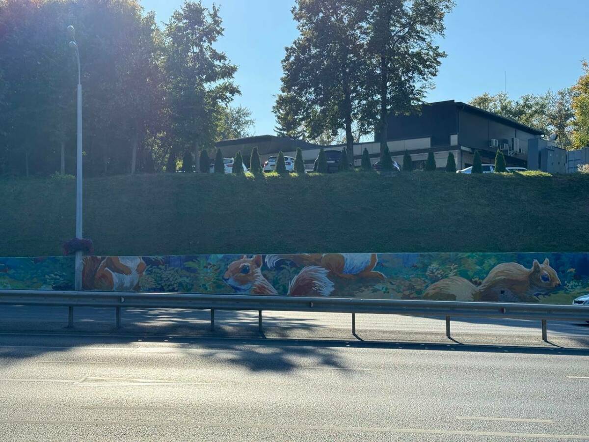 На улице Вишневского появилось большое граффити с белками