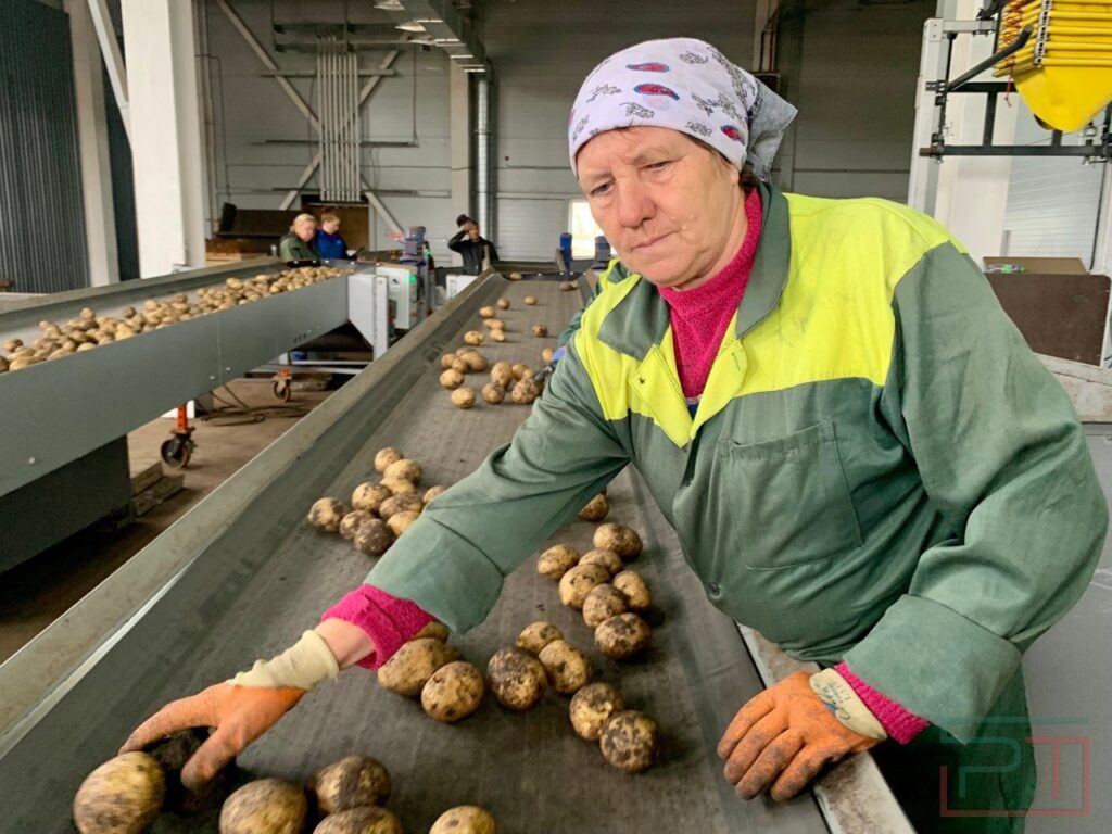 каким будет урожай второго хлеба в Татарстане