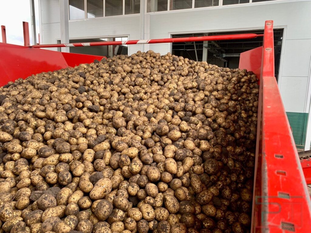 каким будет урожай второго хлеба в Татарстане