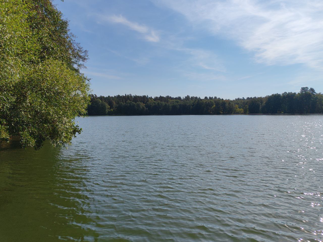 «Это наша земля»: татарстанцы пытаются спасти заповедник от соседства с карьером