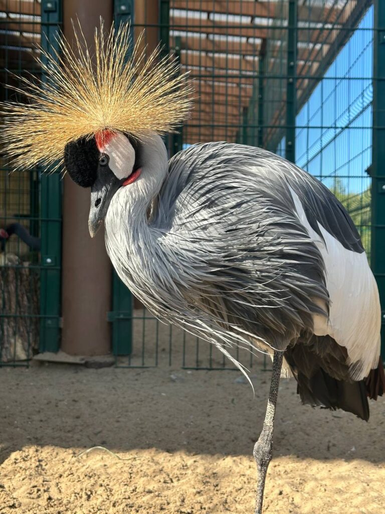 С 16 сентября казанский зоопарк переходит на осенний режим работы