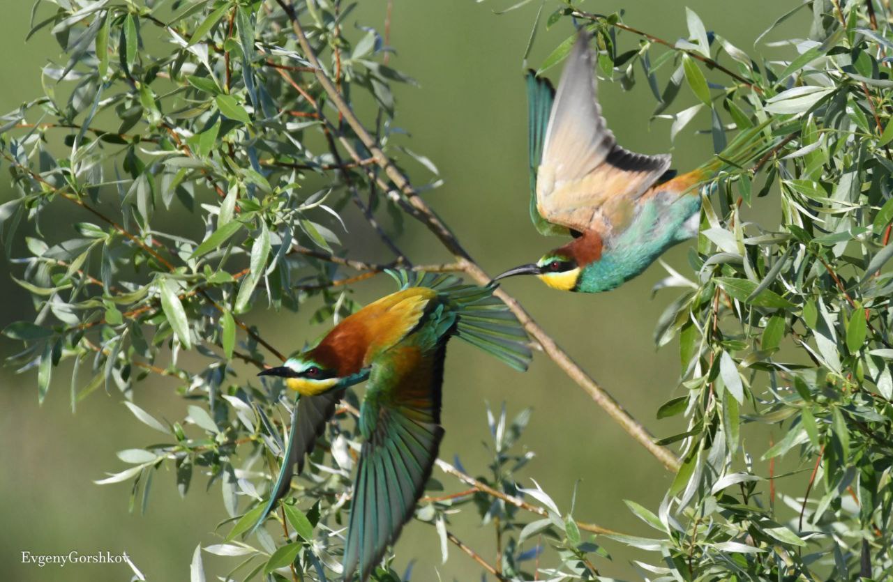 «Это наша земля»: татарстанцы пытаются спасти заповедник от соседства с карьером