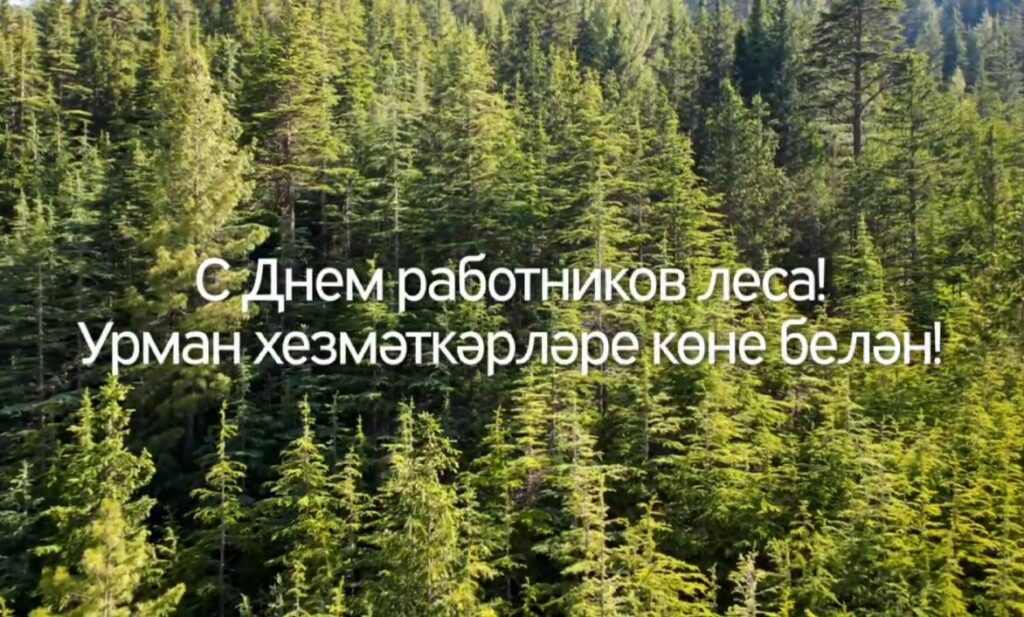 Минниханов поздравил татарстанцев с Днем работников леса