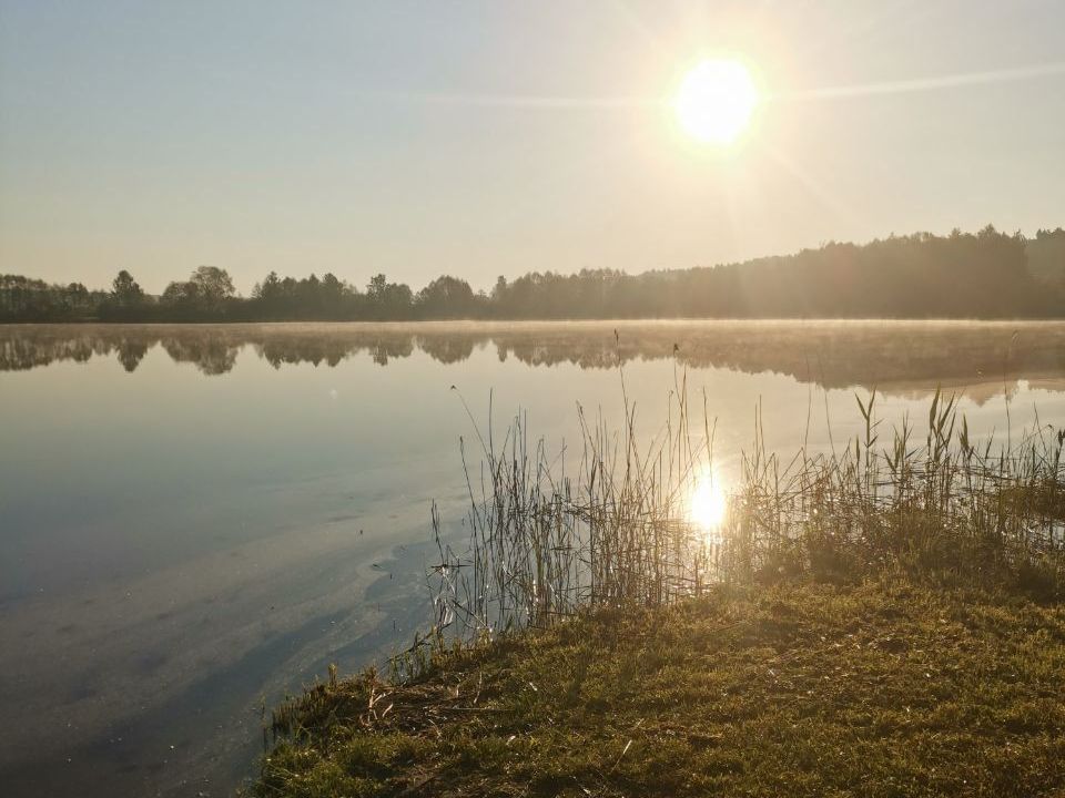 Коттеджи наступают на заповедник: жители села в Татарстане спасают от застройки озеро и лес