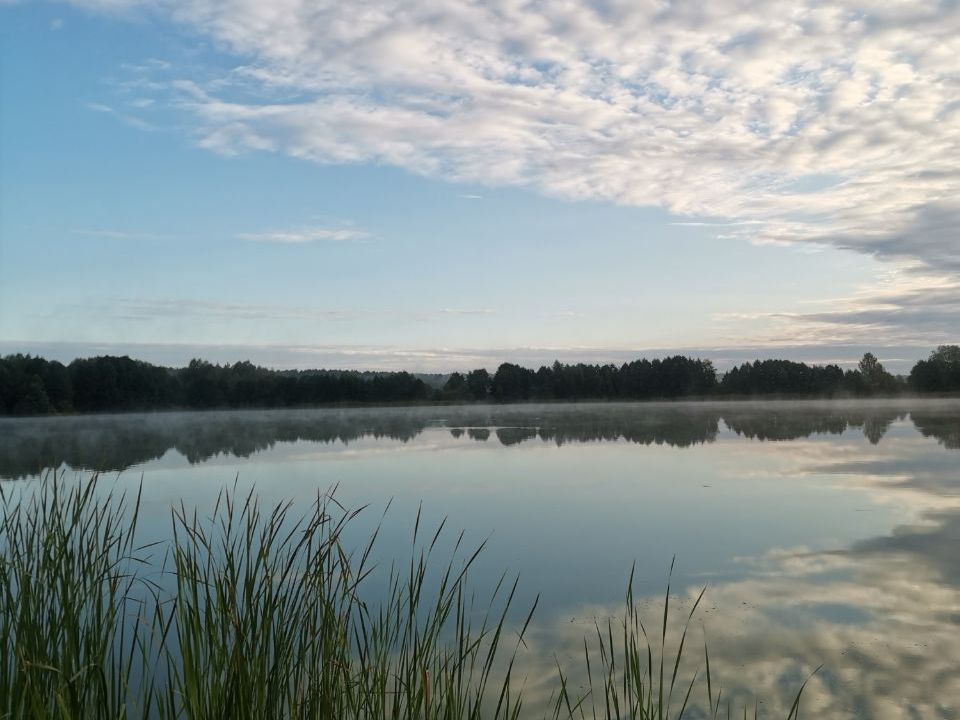 Коттеджи наступают на заповедник: жители села в Татарстане спасают от застройки озеро и лес