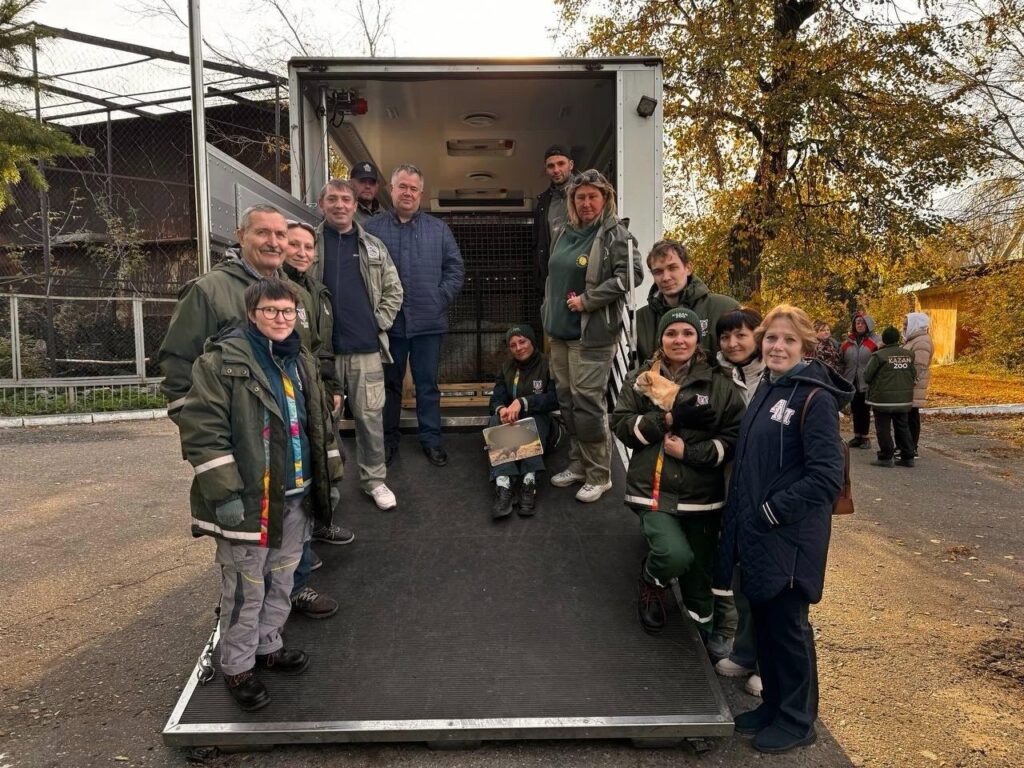 Скитания белого медведя Терпея из Перми завершились - хищник переехал из Казанского зоопарка в Московский