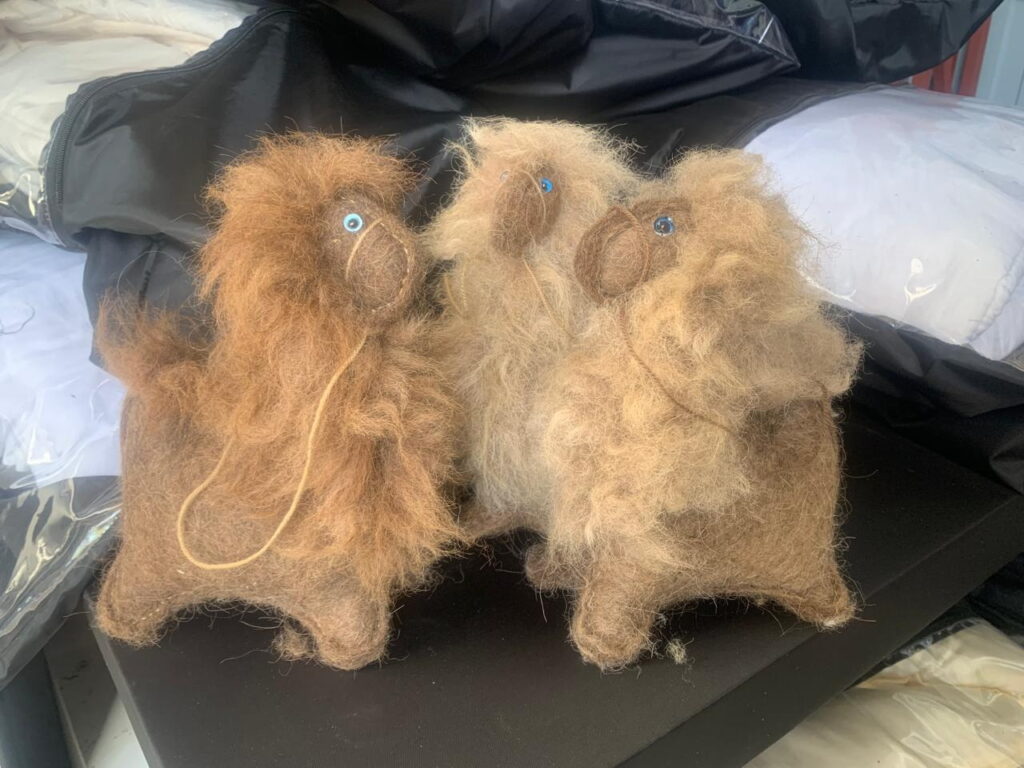 Если б я был Султан: каждый верблюд на ферме в Татарстане имеет по гарему