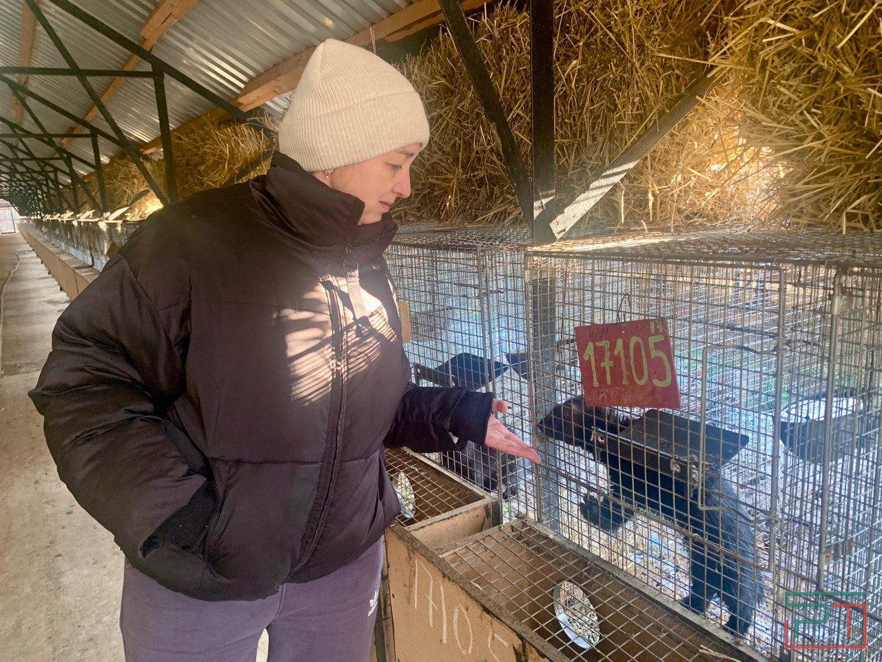 100 долларов за шкурку: в Татарстане вырастили для пушного аукциона 3,5 тыс. соболей