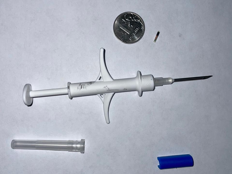 С чипом по жизни: в Казани ставят на учет собак и их хозяев