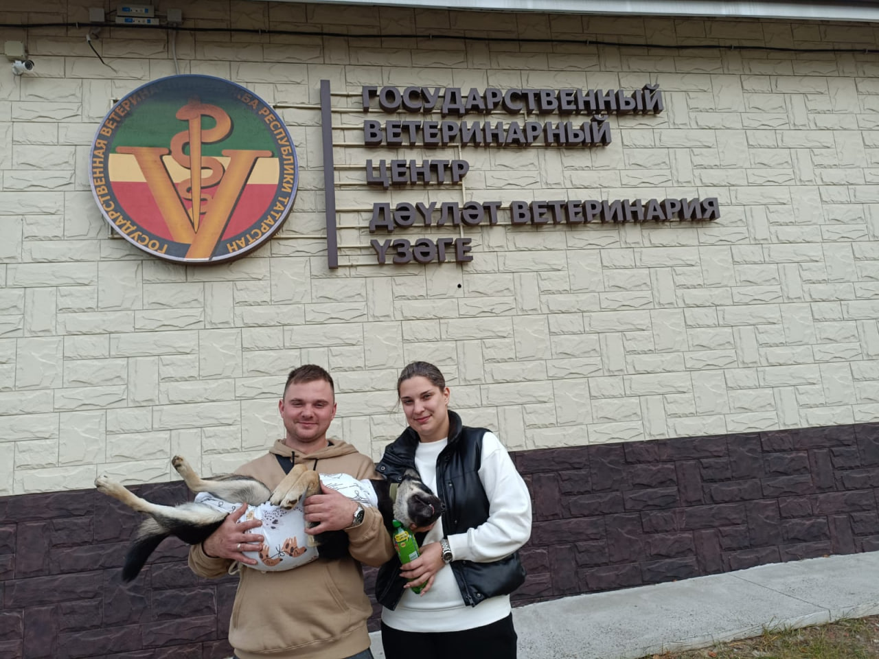 С чипом по жизни: в Казани ставят на учет собак и их хозяев