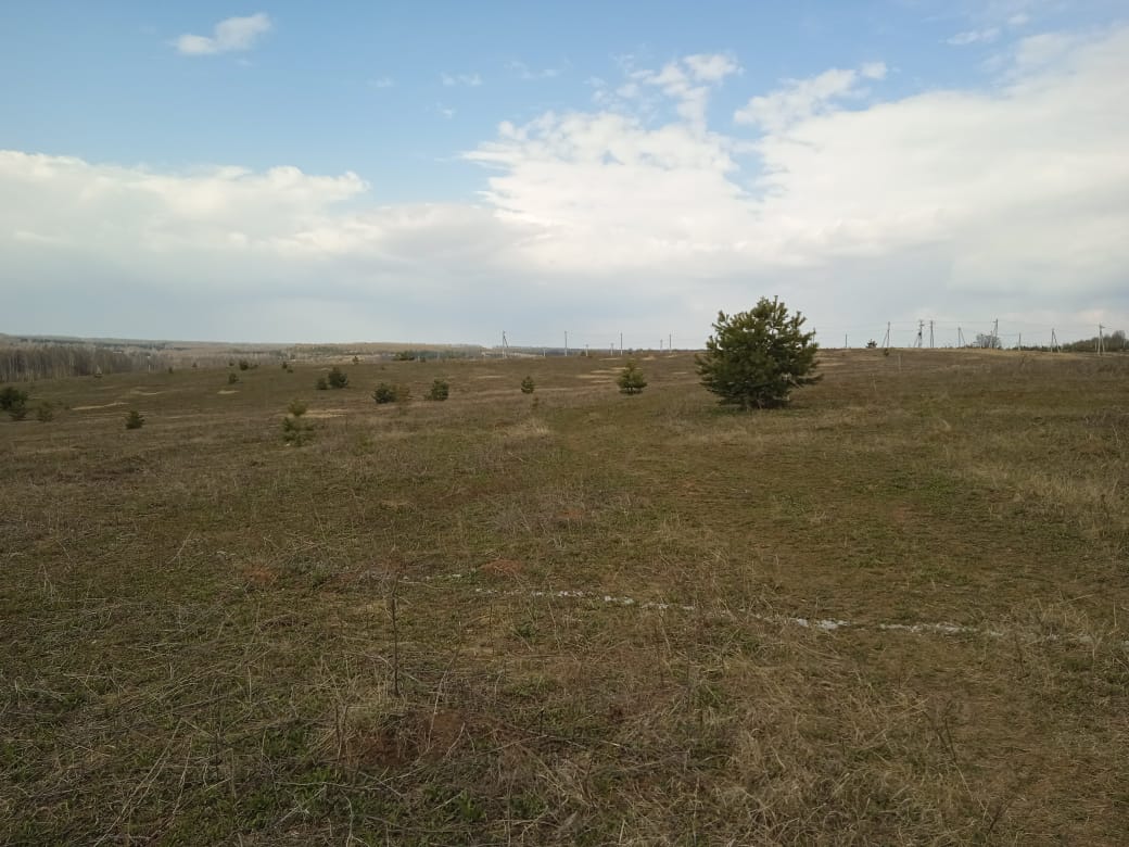 «Надеемся, хотя бы детям удастся»: многодетные семьи Татарстана не могут покорить целину