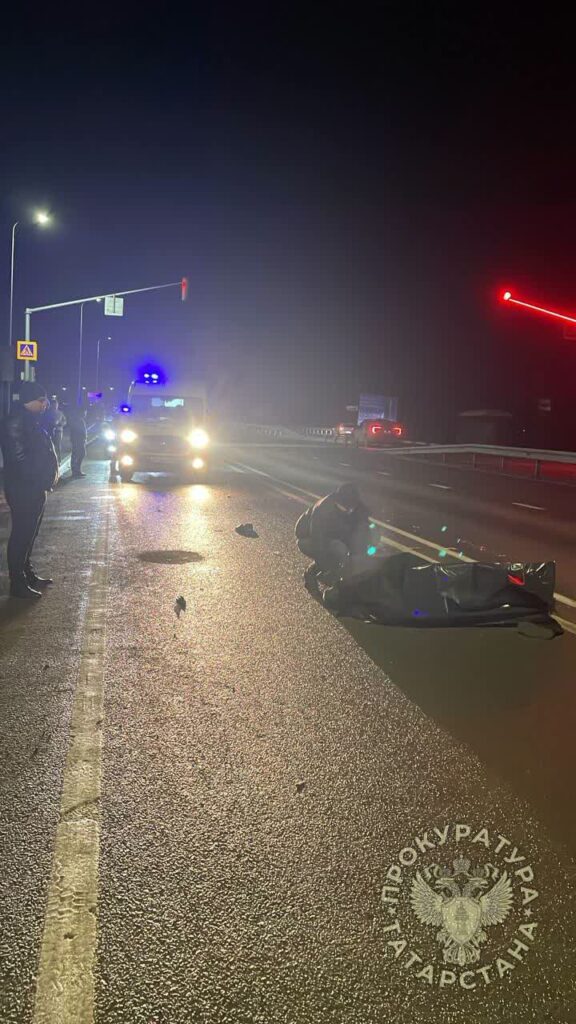 На трассе М7 в Татарстане водитель Lada Vesta сбил двух женщин на пешеходном переходе — одна из них погибла