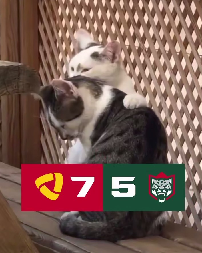 Суперрезультативный матч «Северсталь» - «Ак Барс» завершился со счетом 7:5