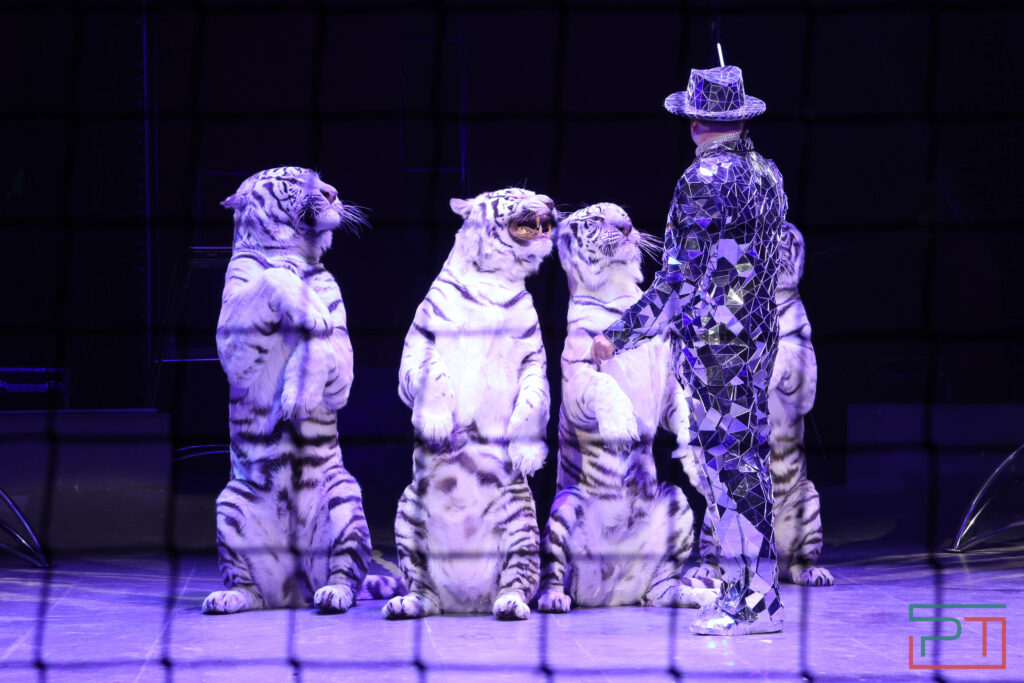 Чудесатая сказка на новый лад: в Казанском цирке состоялась премьера новогоднего шоу «Лабиринт»