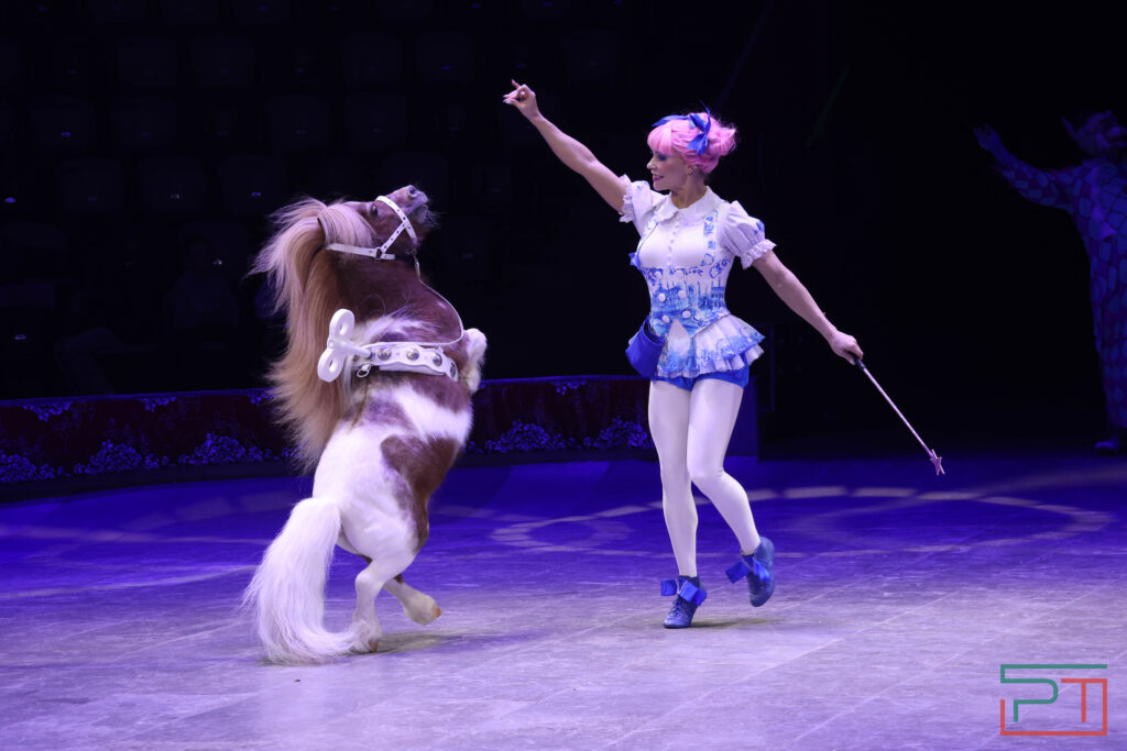 Чудесатая сказка на новый лад: в Казанском цирке состоялась премьера новогоднего шоу «Лабиринт»