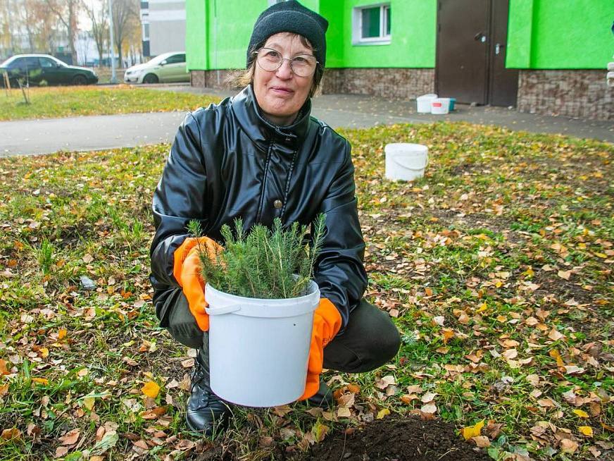 В Нижнекамске осенью высадили около 300 тыс. деревьев и кустарников