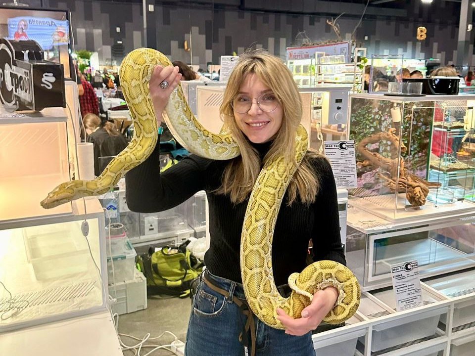 Скользкие, холодные, но обаятельные: хозяйка 12 питонов из Казани нежно любит змей
