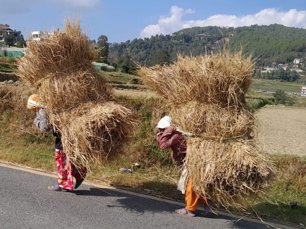 К подножию небес на поиски Шамбалы: заметки казанского путешественника о Непале