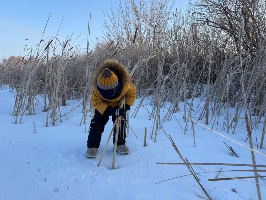 Бури лунки – спасай рыбу: в Татарстане рыбаков призывают помочь щукам и карасям