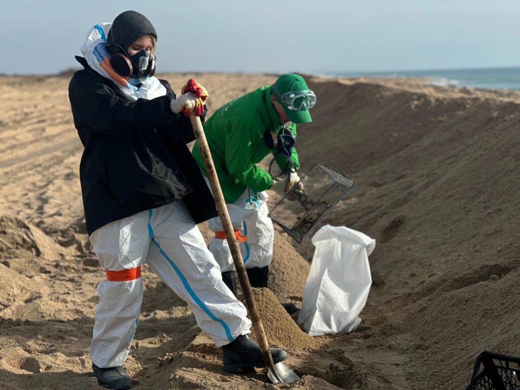 «Мазут убирают, а он снова появляется»: волонтеры из Татарстана вернулись с пляжей Анапы