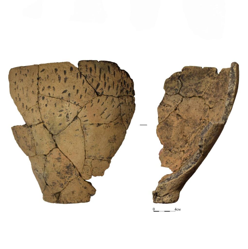 В Татарстане обнаружили более 300 археологических артефактов бронзового века