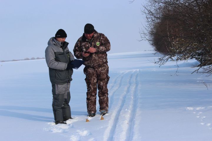 Лоси и куропатки улучшают демографию: в Татарстане идет подсчет диких зверей и птиц