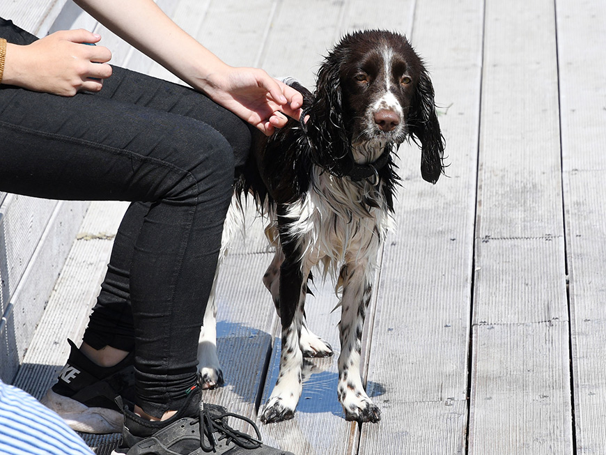 В Татарстане ожидается до 12 градусов тепла и порывистый ветер