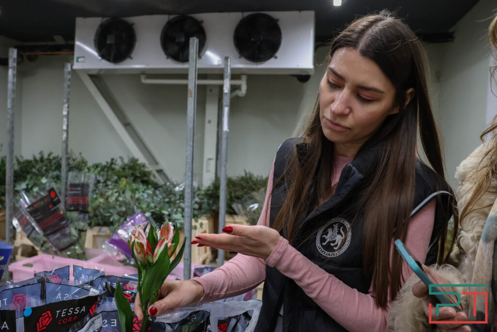 Тюльпаны ударят по карману: мужчины в Татарстане прицениваются к цветам