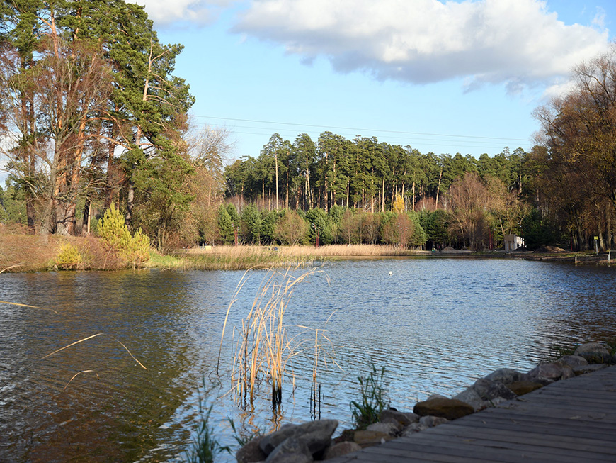 Лебяжье задыхается, Кабан дурно пахнет: что случилось с казанскими озерами