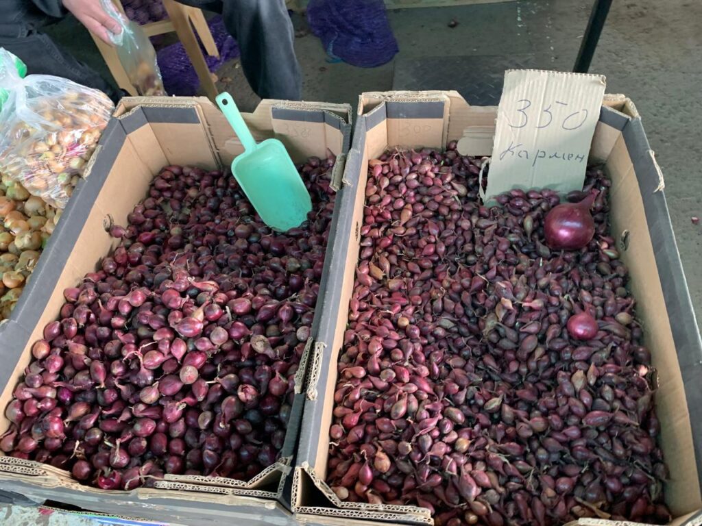 Грядки ждут посадки: татарстанцы открывают дачный сезон