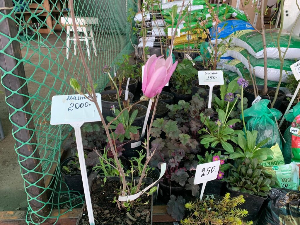 Грядки ждут посадки: татарстанцы открывают дачный сезон