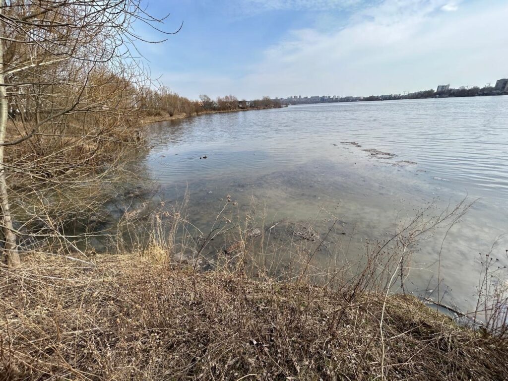 Экологи выявили сброс сточных вод в озеро Средний Кабан в Казани