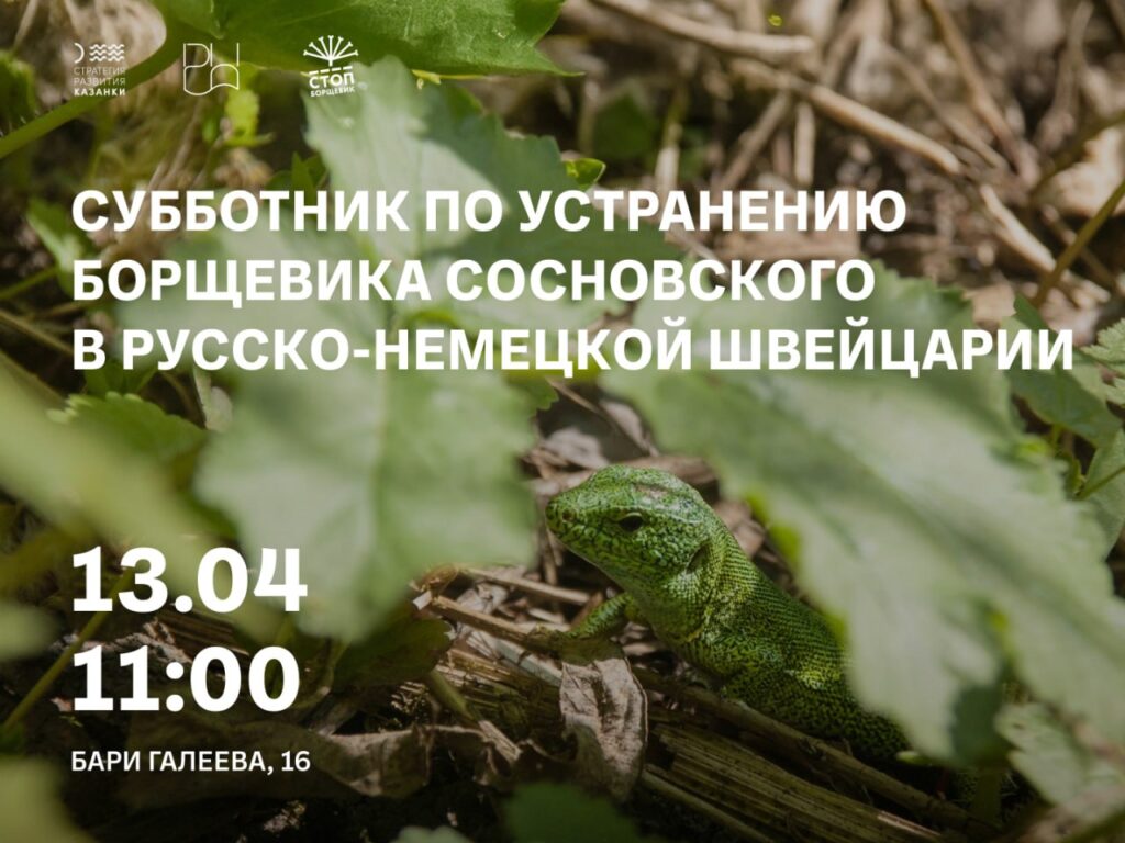 Казанцев просят присоединиться к акции «Стопборщевик» в Русско-Немецкой Швейцарии